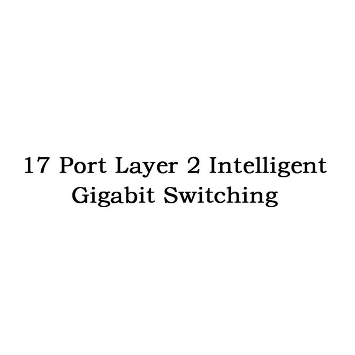 17 Port Layer 2 intelligentne Gigabit Switching